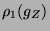 $ \rho _{1}(g_{Z}) $