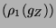 $ (\rho _{1}(g_{Z})) $